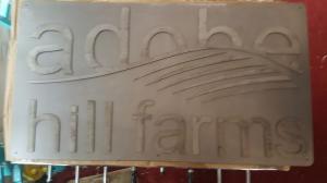 18527177 1330702877012210 4268281324604809853 o