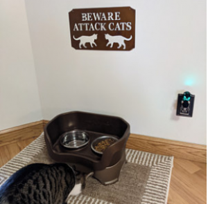 Don't let the cats out sign