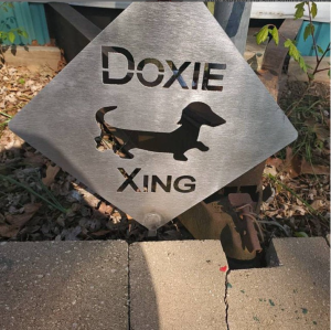 20.4.20 doxie