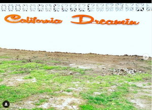 ca dreamin
