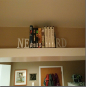 nerd bookends customer pic
