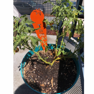 tomato stake 